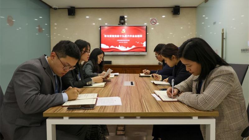 诚通东方党委深入学习贯彻党的十九届六中全会精神
