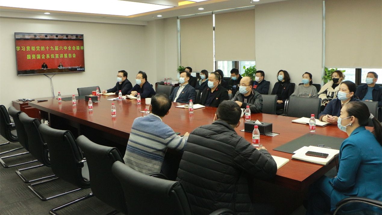 诚通国贸党委认真学习贯彻十九届六中全会精神