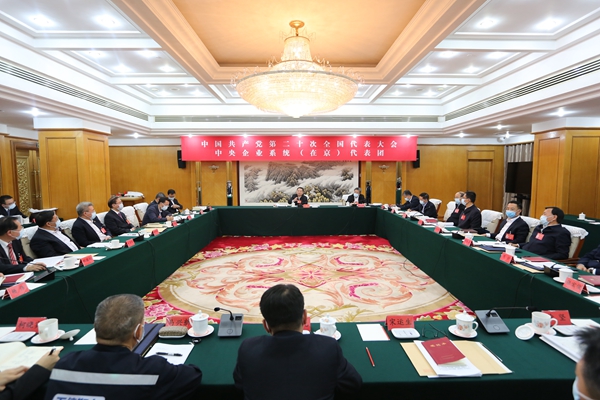 中央企业系统（在京）代表团认真讨论中央纪委工作报告、党章修正案