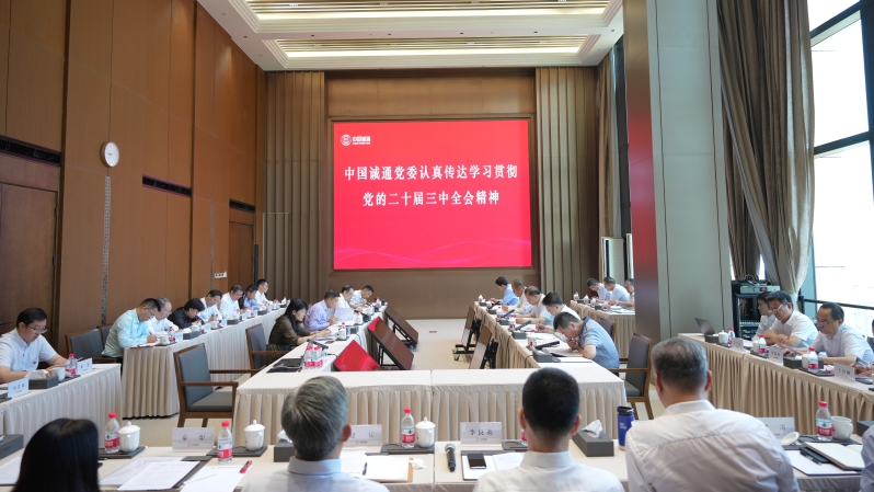 中国诚通党委认真学习贯彻党的二十届三中全会精神