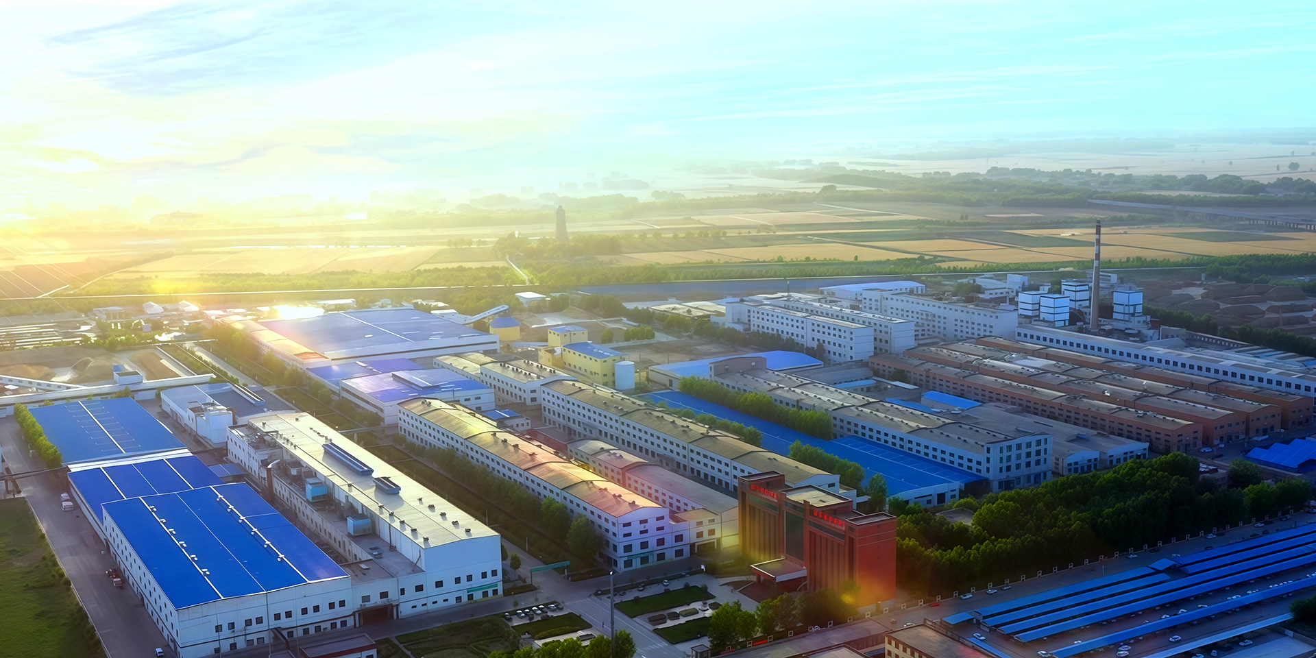 具有国际竞争力的林浆纸服务商