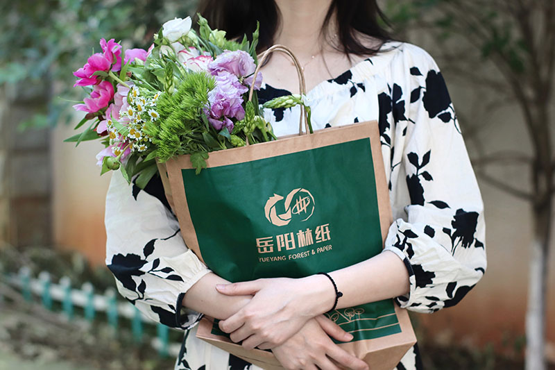 手提袋纸